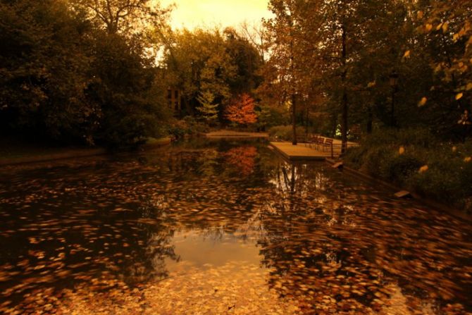 Estanque de hojas otoñales: foto en Donostia-San Sebastián