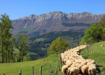 excursión de primavera