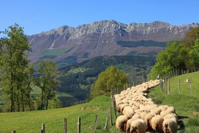 excursión de primavera: foto en Zegama