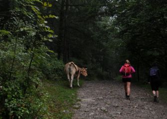 Ezezagunak/ Desconocidos