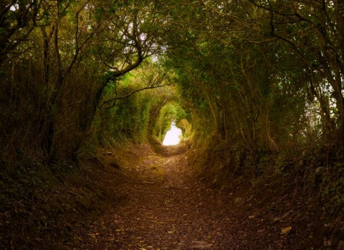 El final del tunel: foto en Tolosa