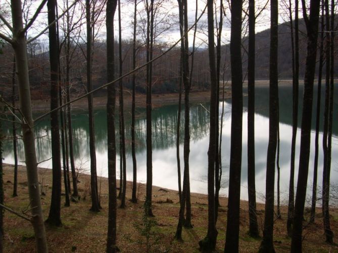 LA GEOMETRÍA Y EL AGUA: foto en Ataun