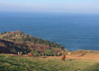 Horizontes