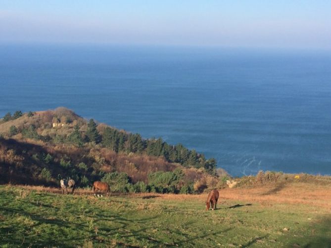 Horizontes: foto en Donostia-San Sebastián