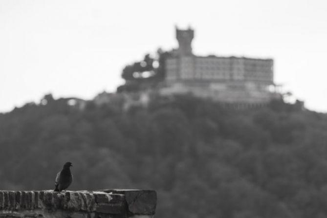 Igeldo txoribistan: foto en Donostia-San Sebastián