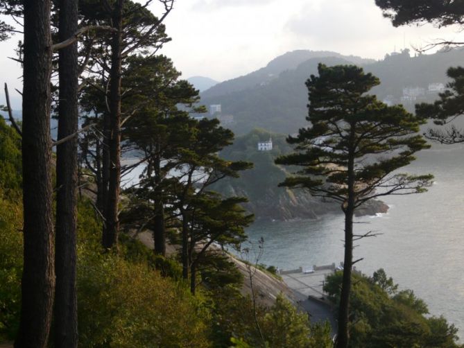 La isla entre los pinos: foto en Donostia-San Sebastián