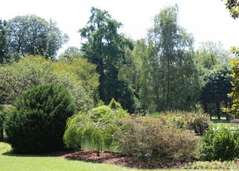 Jardines de Ayete.