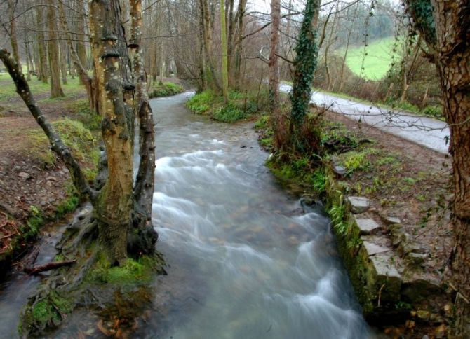 Junto al bidegorri: foto en Irun