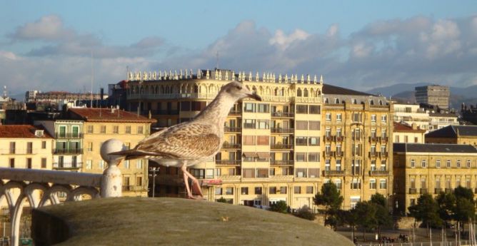 KAIUA: foto en Donostia-San Sebastián