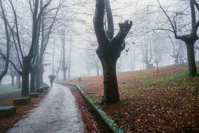 Kanpazar: foto en Bergara