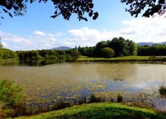 Laguna de San Lorenzo