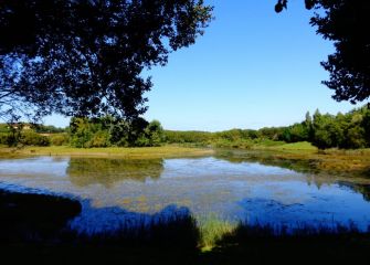 Laguna de San Lorenzo