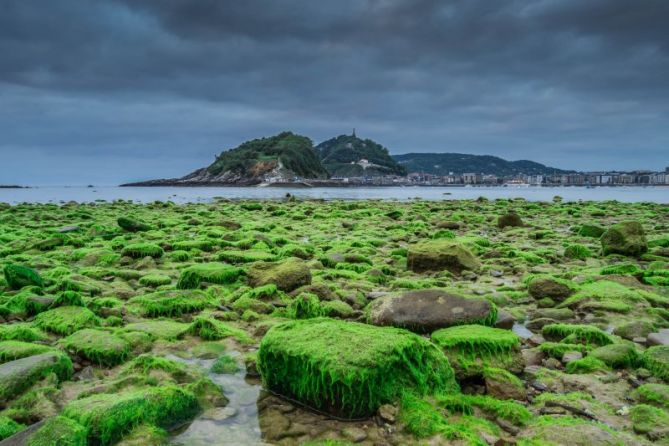 likenak hondarretan: foto en Donostia-San Sebastián