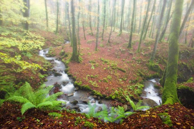 Lizarrusti: foto en Ataun