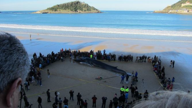 Llegan de lejos a la Kontxa: foto en Donostia-San Sebastián