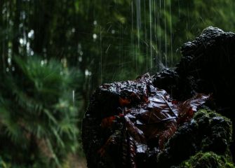 Lluvia