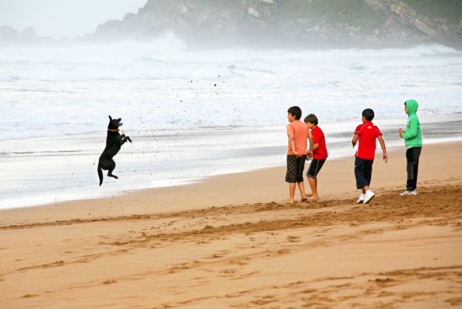 los mejores amigos: foto en Zarautz