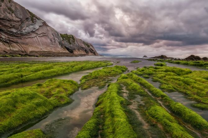 Manto verde: foto en Zumaia