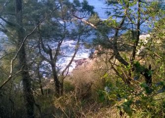 El mar desde Ulia