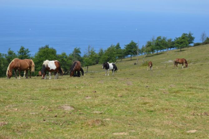 mar y montaña: foto en Lezo