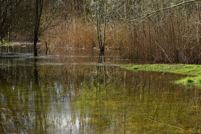 "MARISMA EN PLAIAUNDI": foto en Irun