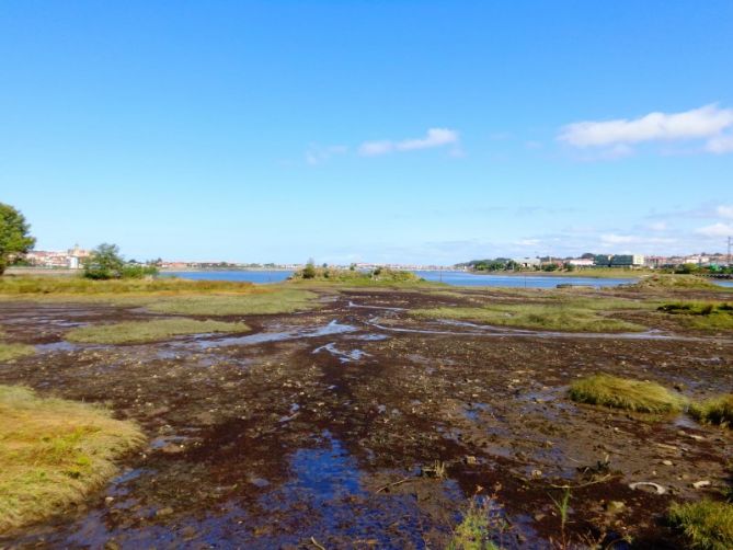 Marismas de Plaiaundi: foto en Irun