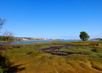 Marismas de Plaiaundi