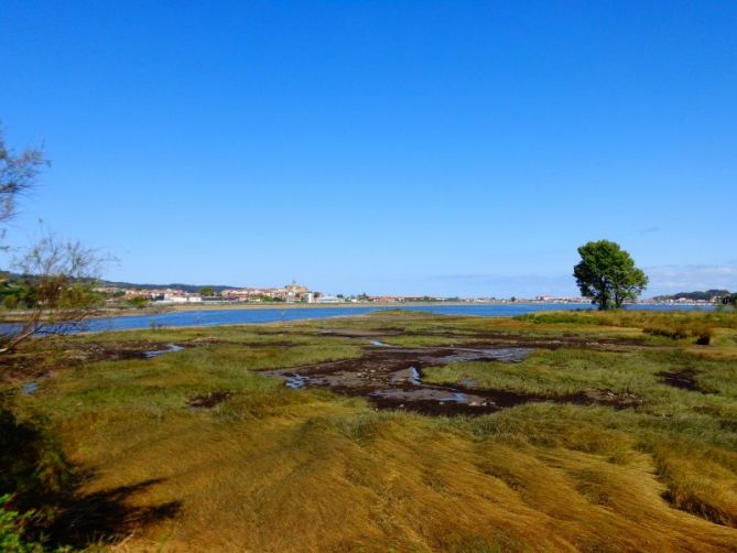 Marismas de Plaiaundi: foto en Irun