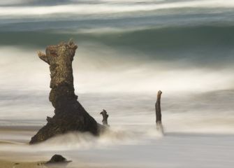 El monstruo de la playa de la Zurriola