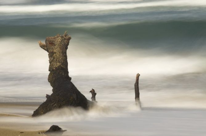 El monstruo de la playa de la Zurriola: foto en Donostia-San Sebastián