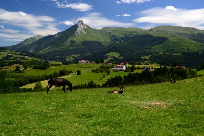 Naturaleza: foto en Lazkao