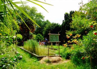 Naturaleza