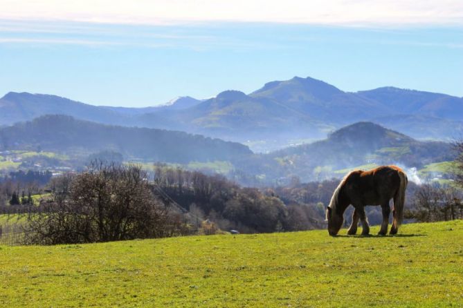 Naturaleza en Atotxa Erreka: foto en Donostia-San Sebastián