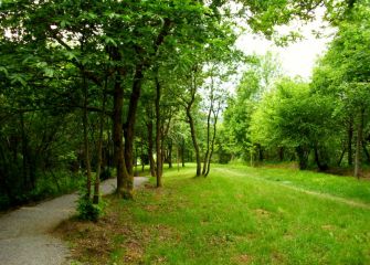 Naturaleza Pura en Donostia