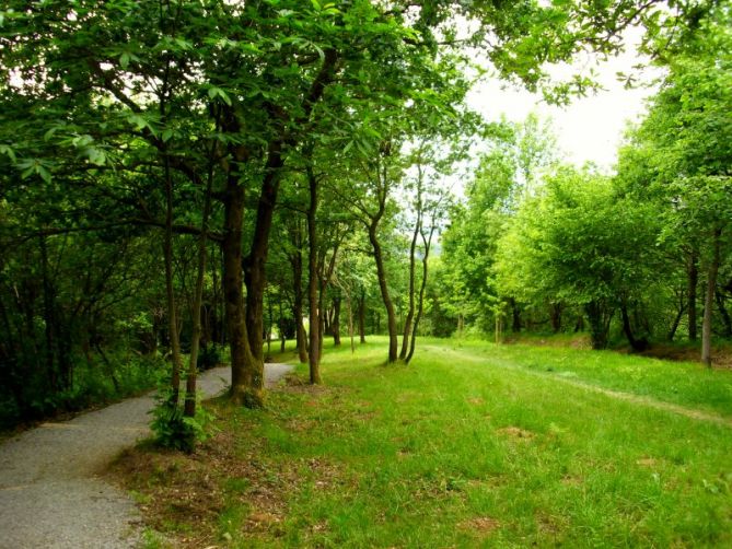 Naturaleza Pura en Donostia: foto en Donostia-San Sebastián