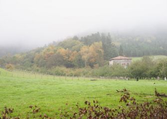 Niebla en Meaka