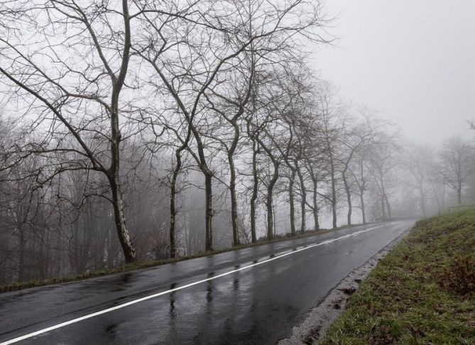 nieblas: foto en Azpeitia