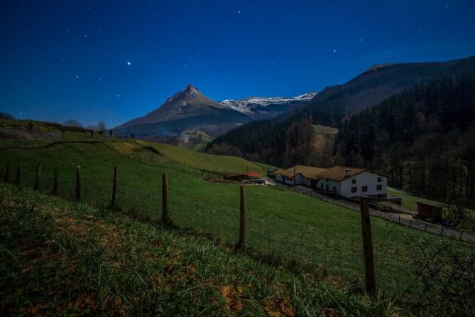 nocturna txindoki: foto en Zaldibia