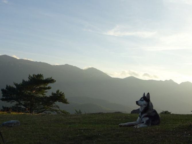 Nuka: foto en Zegama