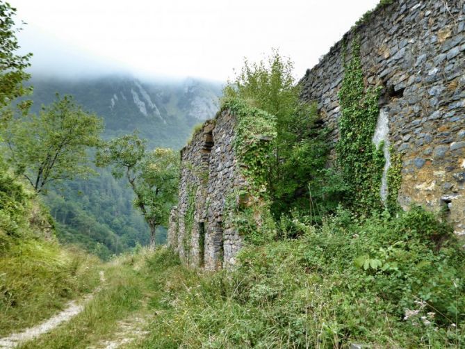 Oculto por la naturaleza: foto en Tolosa