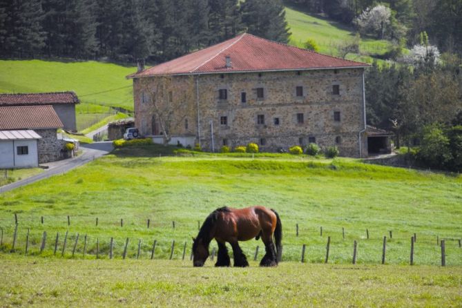 OJARBI: foto en Idiazabal