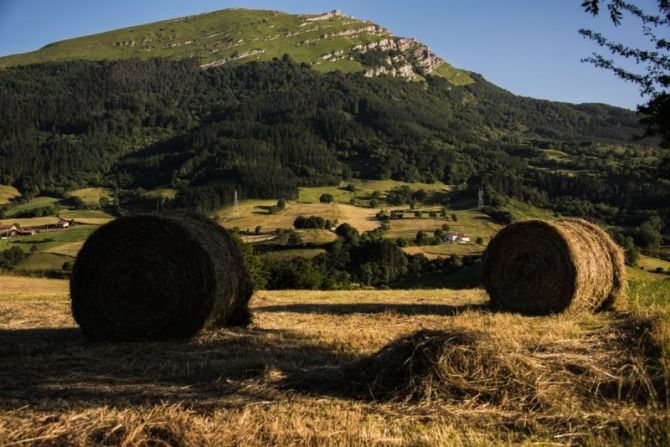 Olor a hierba : foto en Aretxabaleta