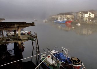 orio en la niebla