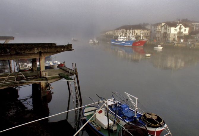 orio en la niebla: foto en Orio