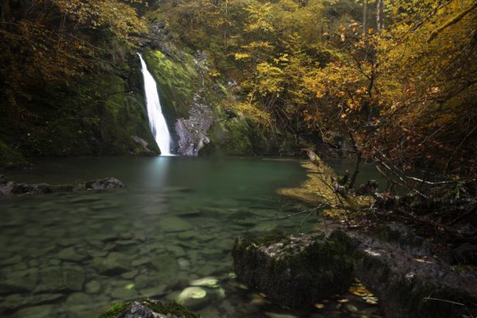 Osinberde: foto en Zaldibia