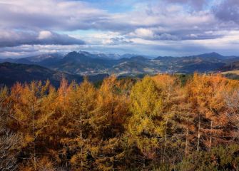 Otoño desde Meaka