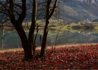 Otoño en el pantano de Urkullu