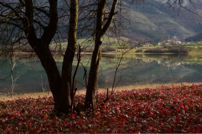 Otoño en el pantano de Urkullu: foto en Aretxabaleta