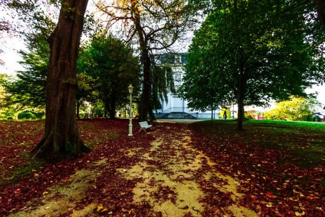 El otoño en todo su esplendor: foto en Donostia-San Sebastián