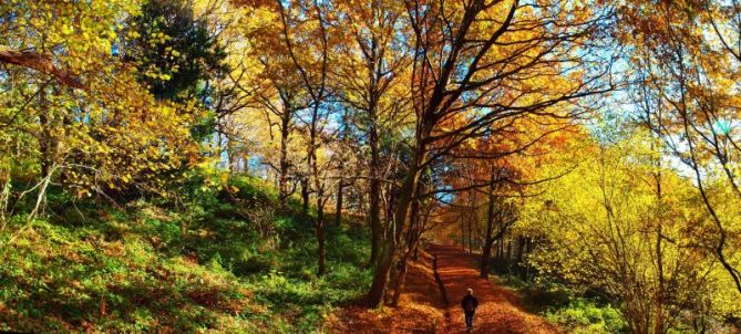 Parque de Ametzagaina: foto en Donostia-San Sebastián